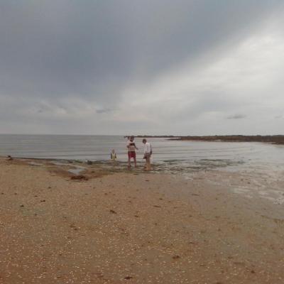 Pêche à pied